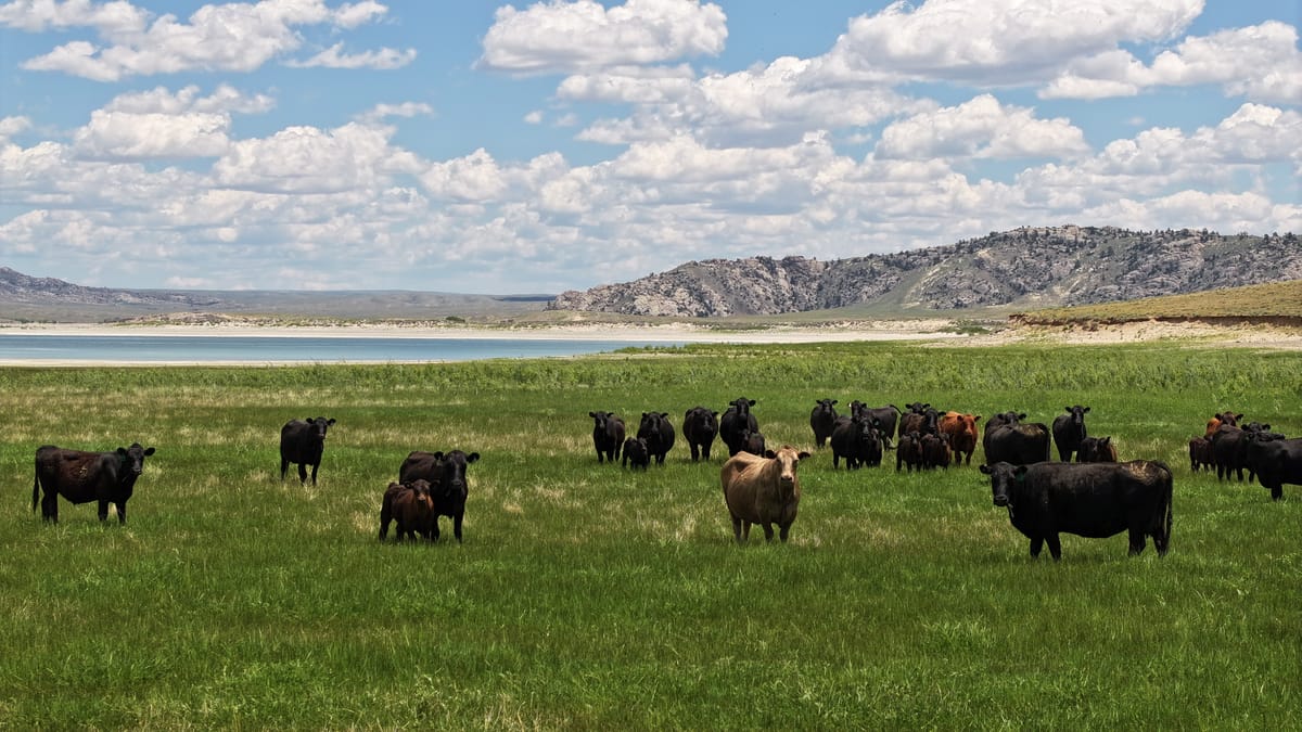 NEWS BRIEF: Little Known North Salt Lake Firm, The Ensign Group, Now Owns or Controls Nearly 2.5 Million Acres of U.S. Land